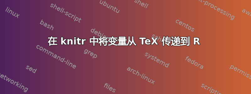 在 knitr 中将变量从 TeX 传递到 R