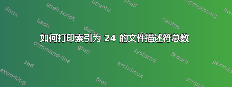 如何打印索引为 24 的文件描述符总数