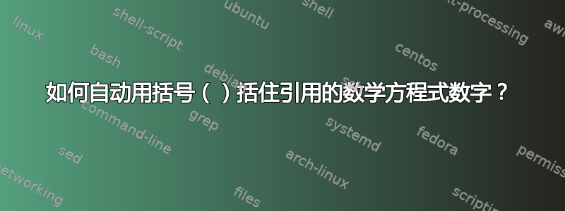 如何自动用括号（）括住引用的数学方程式数字？