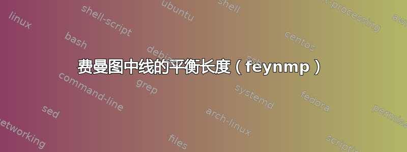 费曼图中线的平衡长度（feynmp）