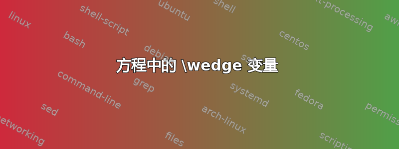 方程中的 \wedge 变量