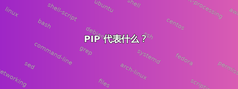 PIP 代表什么？ 