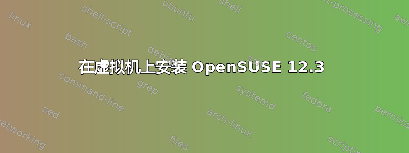 在虚拟机上安装 OpenSUSE 12.3