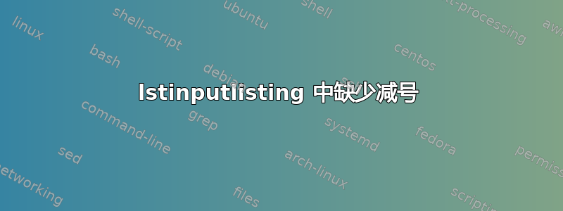 lstinputlisting 中缺少减号