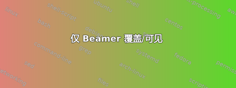 仅 Beamer 覆盖/可见