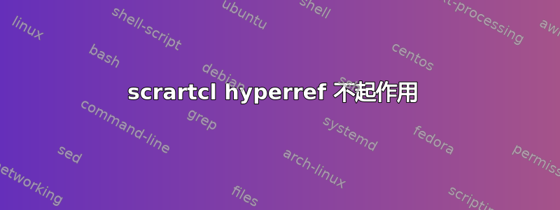 scrartcl hyperref 不起作用 