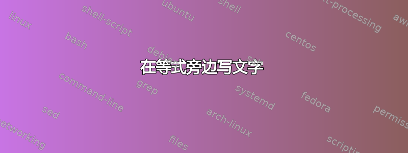 在等式旁边写文字