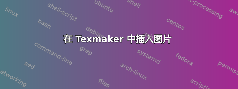 在 Texmaker 中插入图片