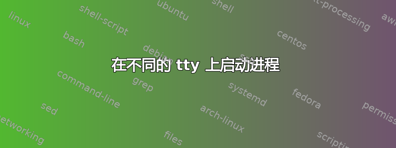 在不同的 tty 上启动进程