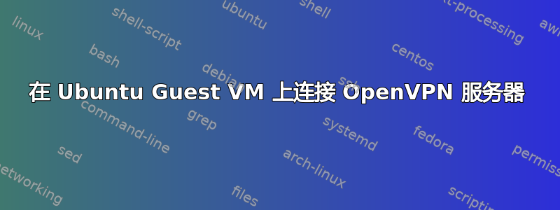 在 Ubuntu Guest VM 上连接 OpenVPN 服务器