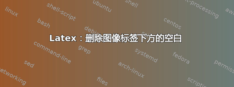 Latex：删除图像标签下方的空白