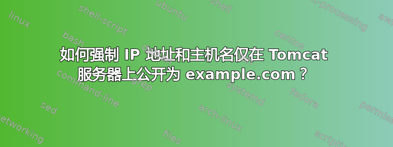 如何强制 IP 地址和主机名仅在 Tomcat 服务器上公开为 example.com？