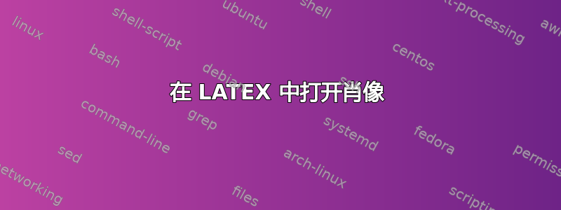 在 LATEX 中打开肖像