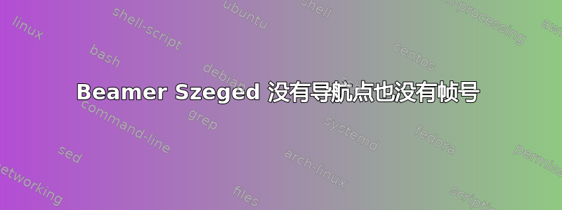 Beamer Szeged 没有导航点也没有帧号