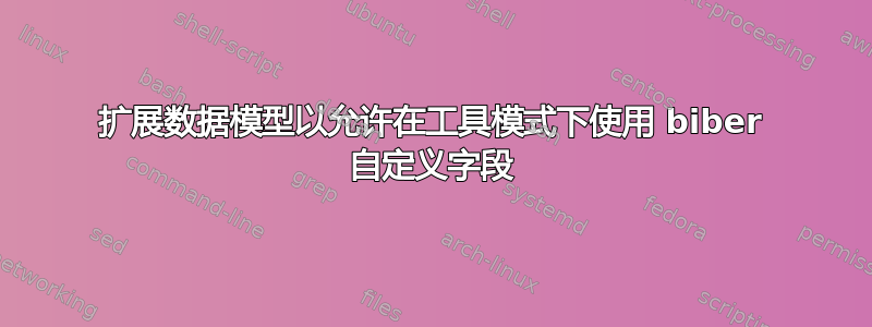 扩展数据模型以允许在工具模式下使用 biber 自定义字段