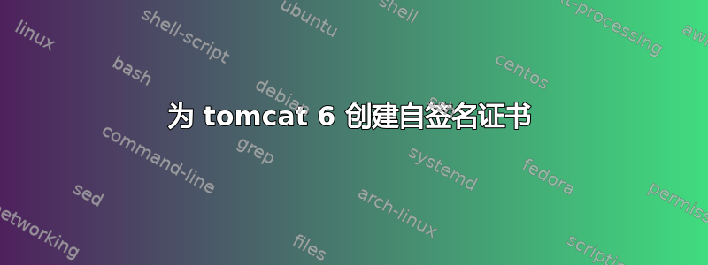 为 tomcat 6 创建自签名证书