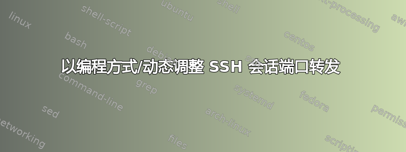 以编程方式/动态调整 SSH 会话端口转发