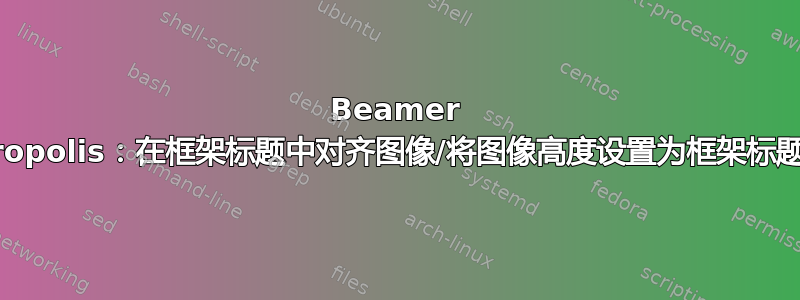 Beamer metropolis：在框架标题中对齐图像/将图像高度设置为框架标题高度