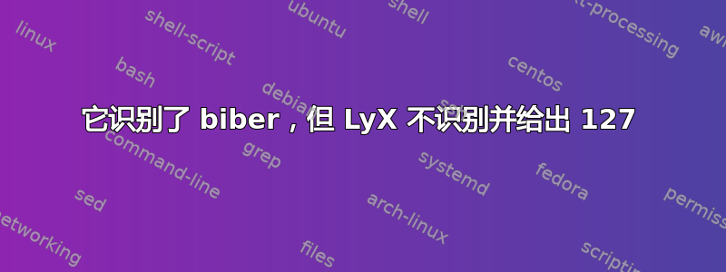 它识别了 biber，但 LyX 不识别并给出 127