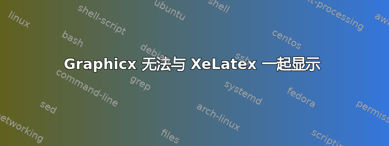 Graphicx 无法与 XeLatex 一起显示