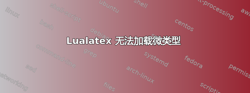 Lualatex 无法加载微类型