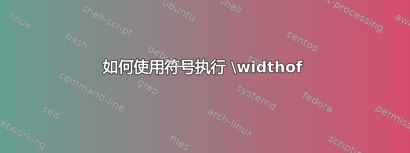 如何使用符号执行 \widthof