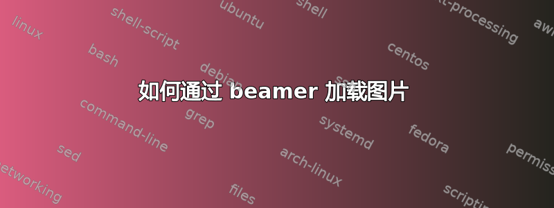 如何通过 beamer 加载图片