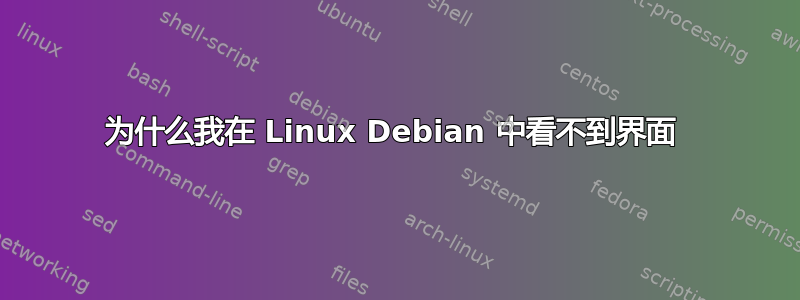 为什么我在 Linux Debian 中看不到界面 