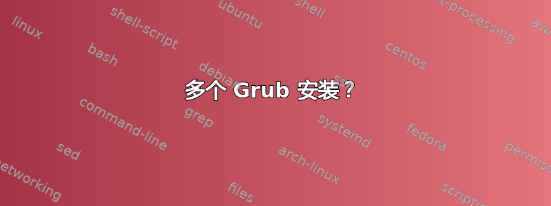 多个 Grub 安装？