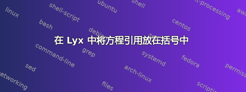 在 Lyx 中将方程引用放在括号中