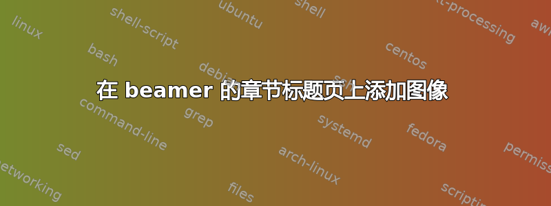 在 beamer 的章节标题页上添加图像