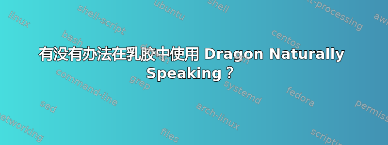 有没有办法在乳胶中使用 Dragon Naturally Speaking？