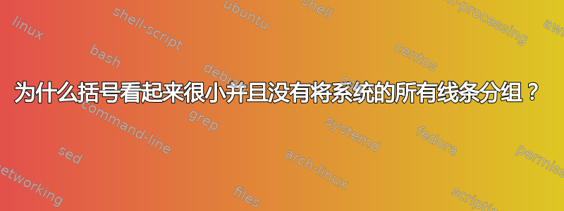 为什么括号看起来很小并且没有将系统的所有线条分组？