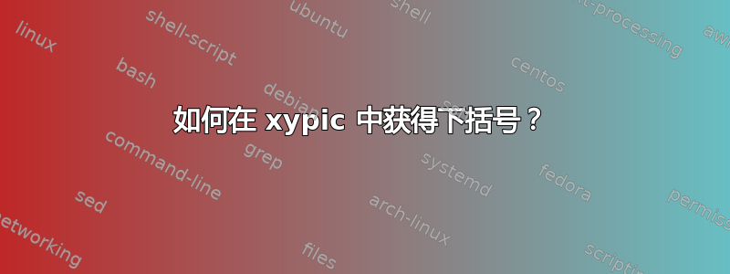 如何在 xypic 中获得下括号？