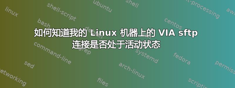 如何知道我的 Linux 机器上的 VIA sftp 连接是否处于活动状态