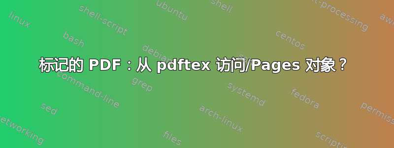 标记的 PDF：从 pdftex 访问/Pages 对象？