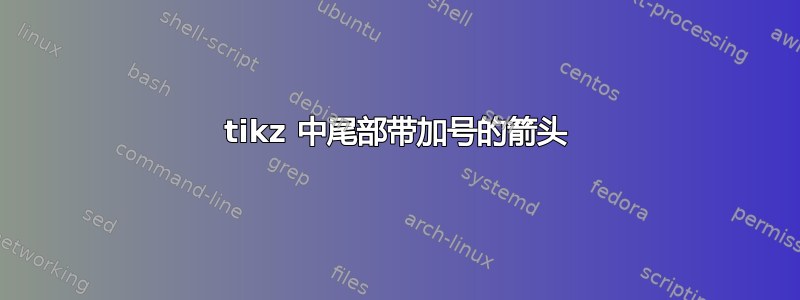 tikz 中尾部带加号的箭头