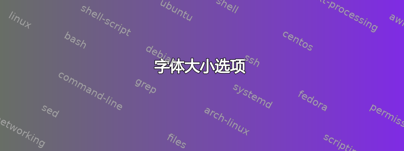 字体大小选项