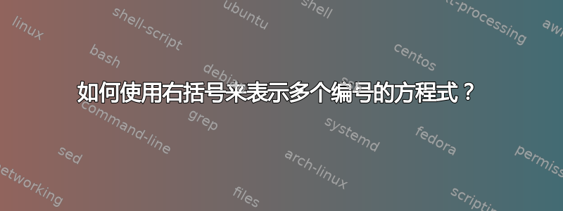 如何使用右括号来表示多个编号的方程式？