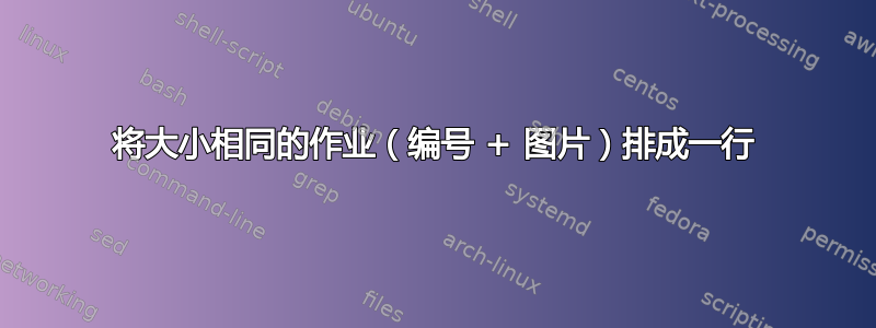 将大小相同的作业（编号 + 图片）排成一行