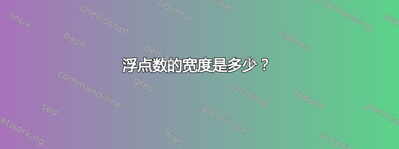 浮点数的宽度是多少？