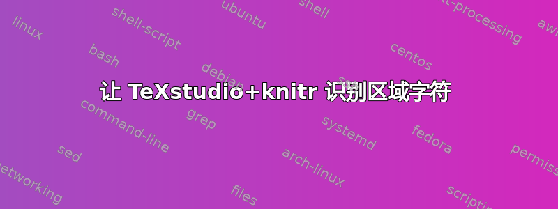 让 TeXstudio+knitr 识别区域字符