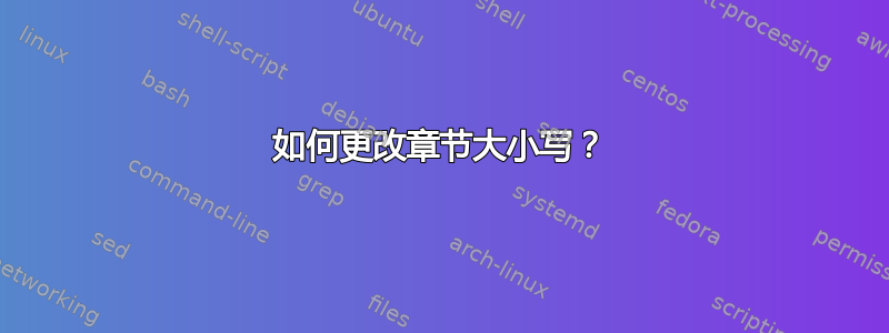 如何更改章节大小写？