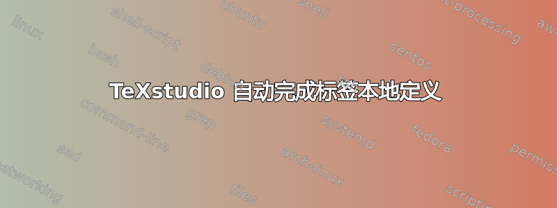 TeXstudio 自动完成标签本地定义