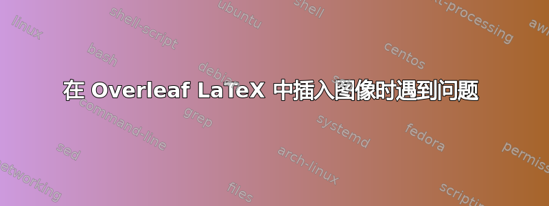 在 Overleaf LaTeX 中插入图像时遇到问题