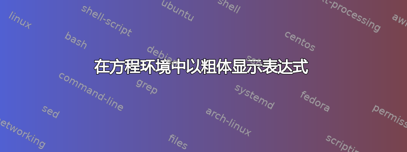 在方程环境中以粗体显示表达式