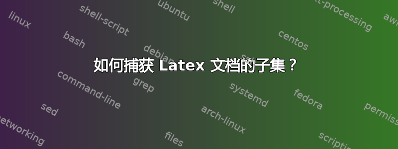 如何捕获 Latex 文档的子集？