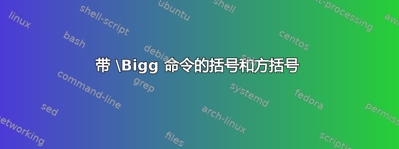 带 \Bigg 命令的括号和方括号