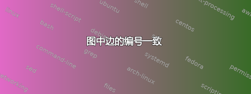 图中边的编号一致