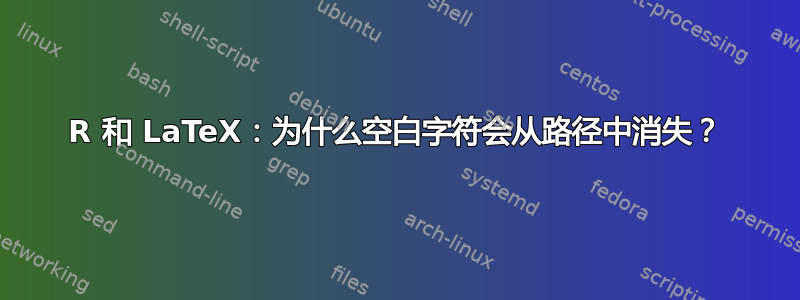 R 和 LaTeX：为什么空白字符会从路径中消失？